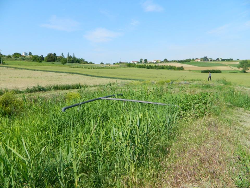 IRIDRA progetto per Cantina sociale di Casorzo (AT)