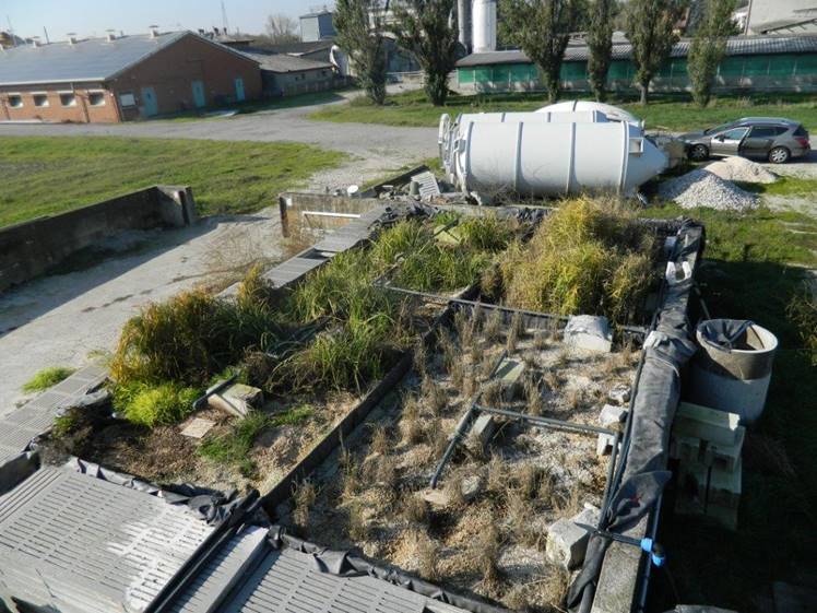 IRIDRA progetto per Allevamento suinicolo di S.A.S.A. S.r.l.,  Magnacavallo (MN)