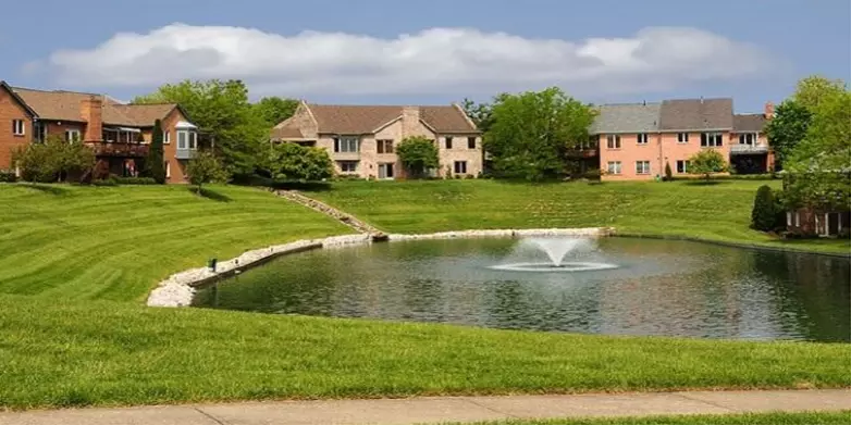 ponds 2  web